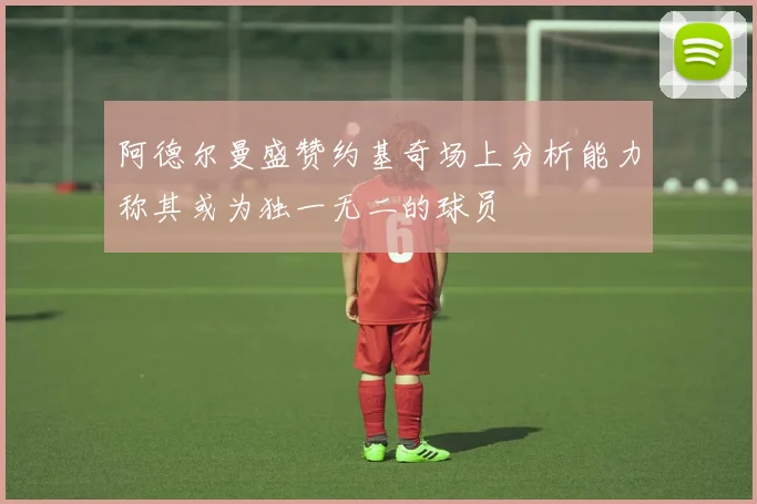 阿德尔曼盛赞约基奇场上分析能力称其或为独一无二的球员